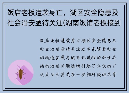 饭店老板遭袭身亡，湖区安全隐患及社会治安亟待关注(湖南饭馆老板接到)